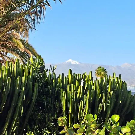 Apartmán Casa Barbara *